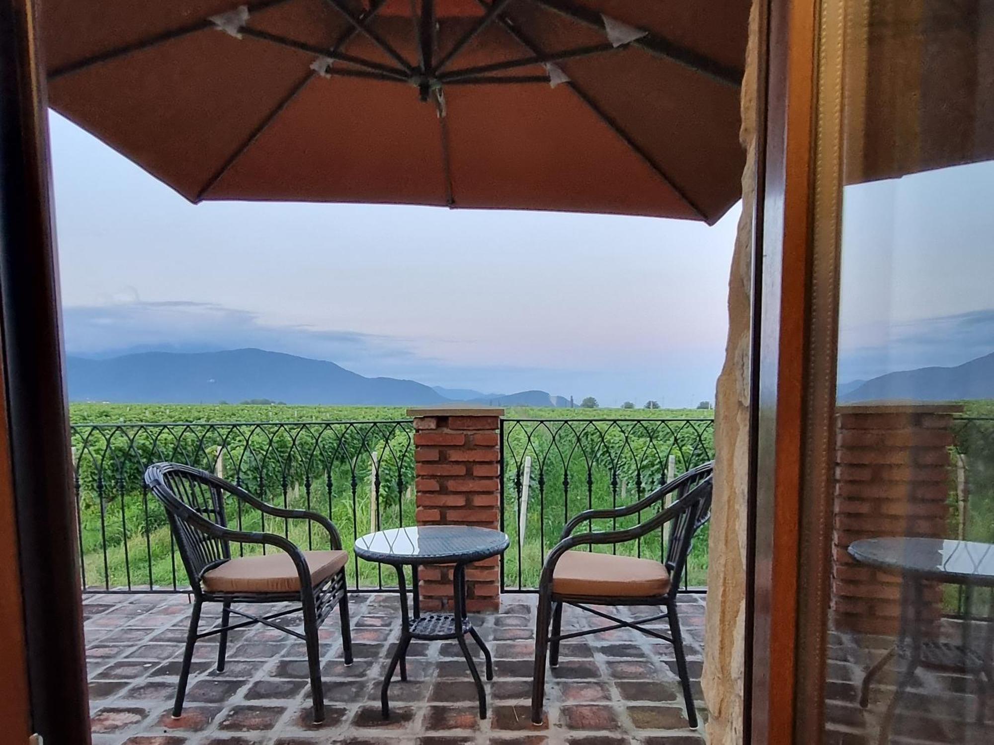Chateau Davitiani Shilda ห้อง รูปภาพ