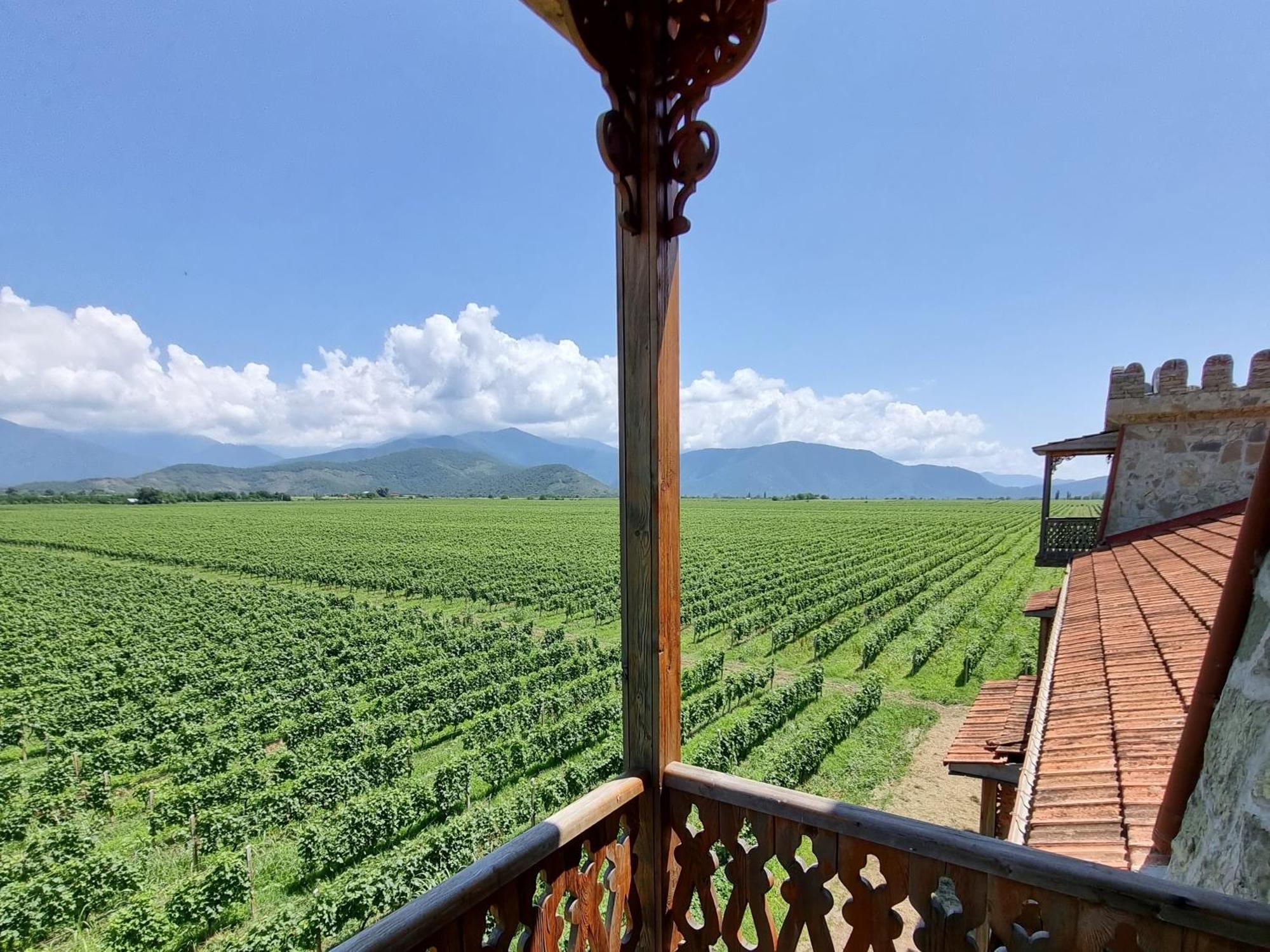 Chateau Davitiani Shilda ห้อง รูปภาพ