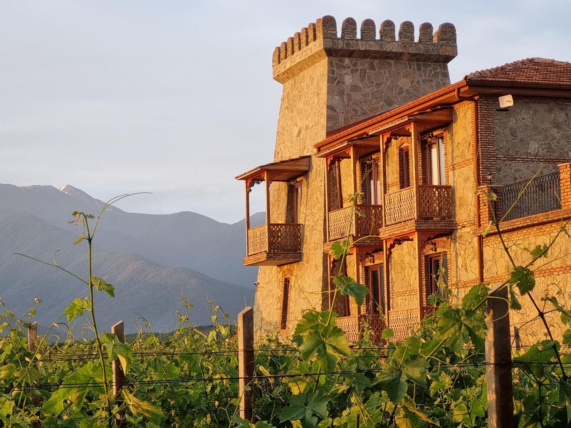 Chateau Davitiani Shilda ภายนอก รูปภาพ