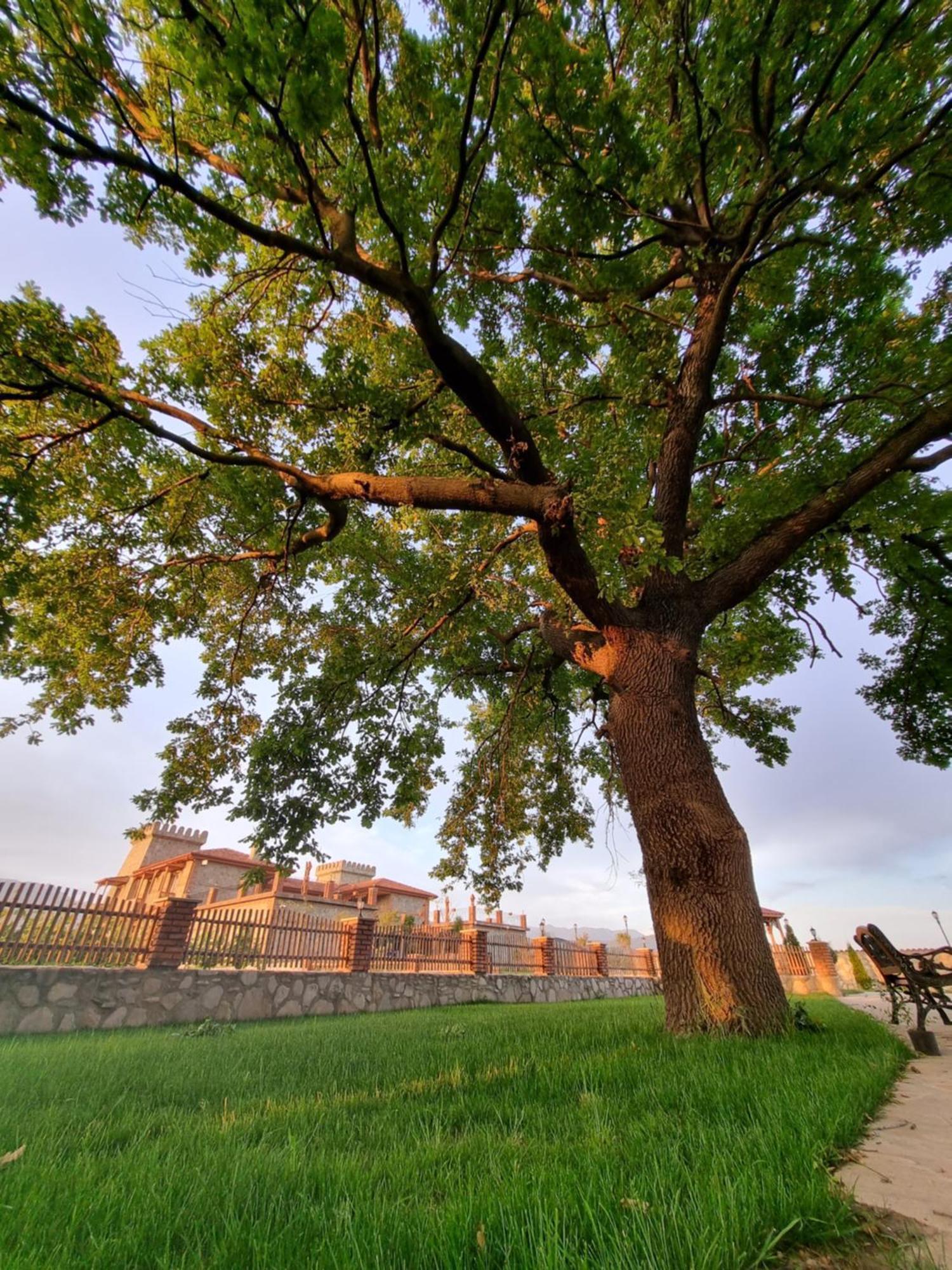 Chateau Davitiani Shilda ภายนอก รูปภาพ